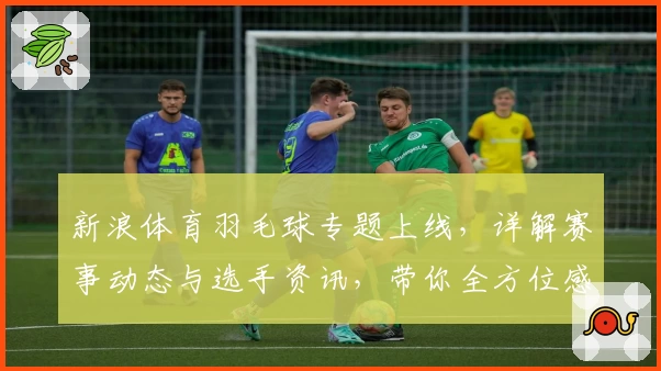 新浪体育羽毛球专题上线，详解赛事动态与选手资讯，带你全方位感受羽坛魅力