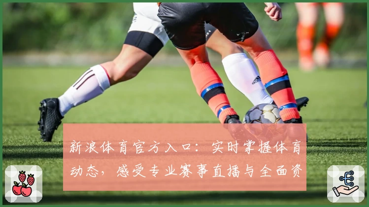 新浪体育官方入口：实时掌握体育动态，感受专业赛事直播与全面资讯体验