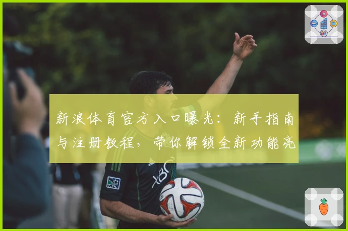 新浪体育官方入口曝光：新手指南与注册教程，带你解锁全新功能亮点