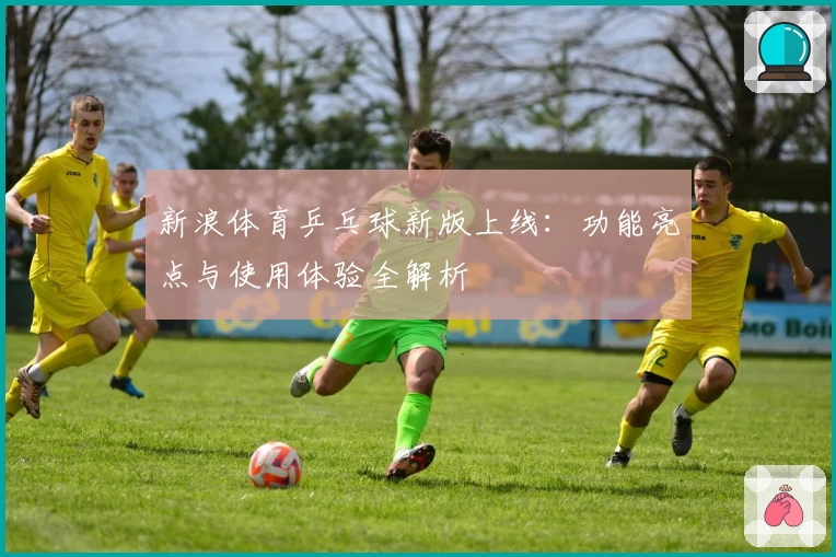 新浪体育乒乓球新版上线：功能亮点与使用体验全解析