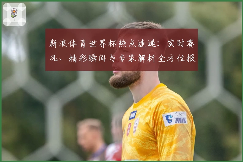 新浪体育世界杯热点速递：实时赛况、精彩瞬间与专家解析全方位报道