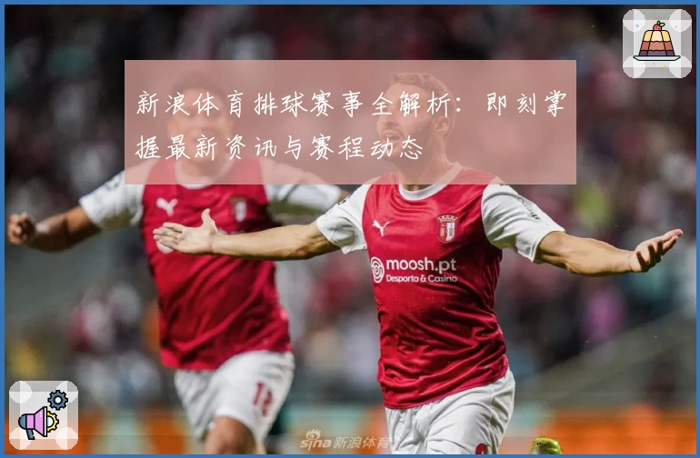 新浪体育排球赛事全解析：即刻掌握最新资讯与赛程动态
