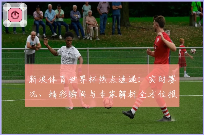 新浪体育世界杯热点速递：实时赛况、精彩瞬间与专家解析全方位报道