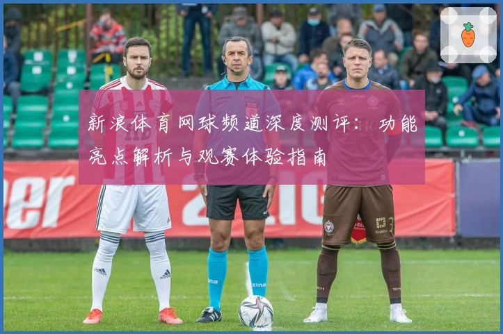 新浪体育网球频道深度测评：功能亮点解析与观赛体验指南