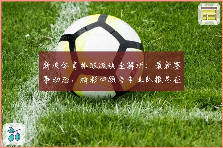 新浪体育排球版块全解析：最新赛事动态、精彩回顾与专业队报尽在掌握